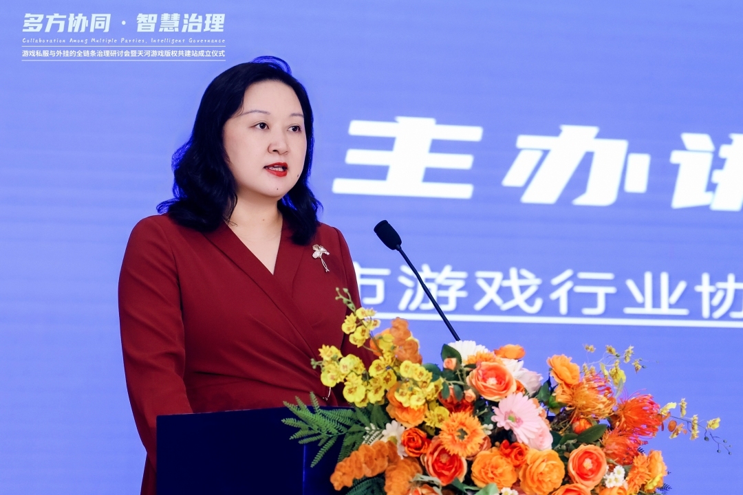 游戏私服与外挂全链条治理研讨会_天河游戏版权共建站_天龙私服