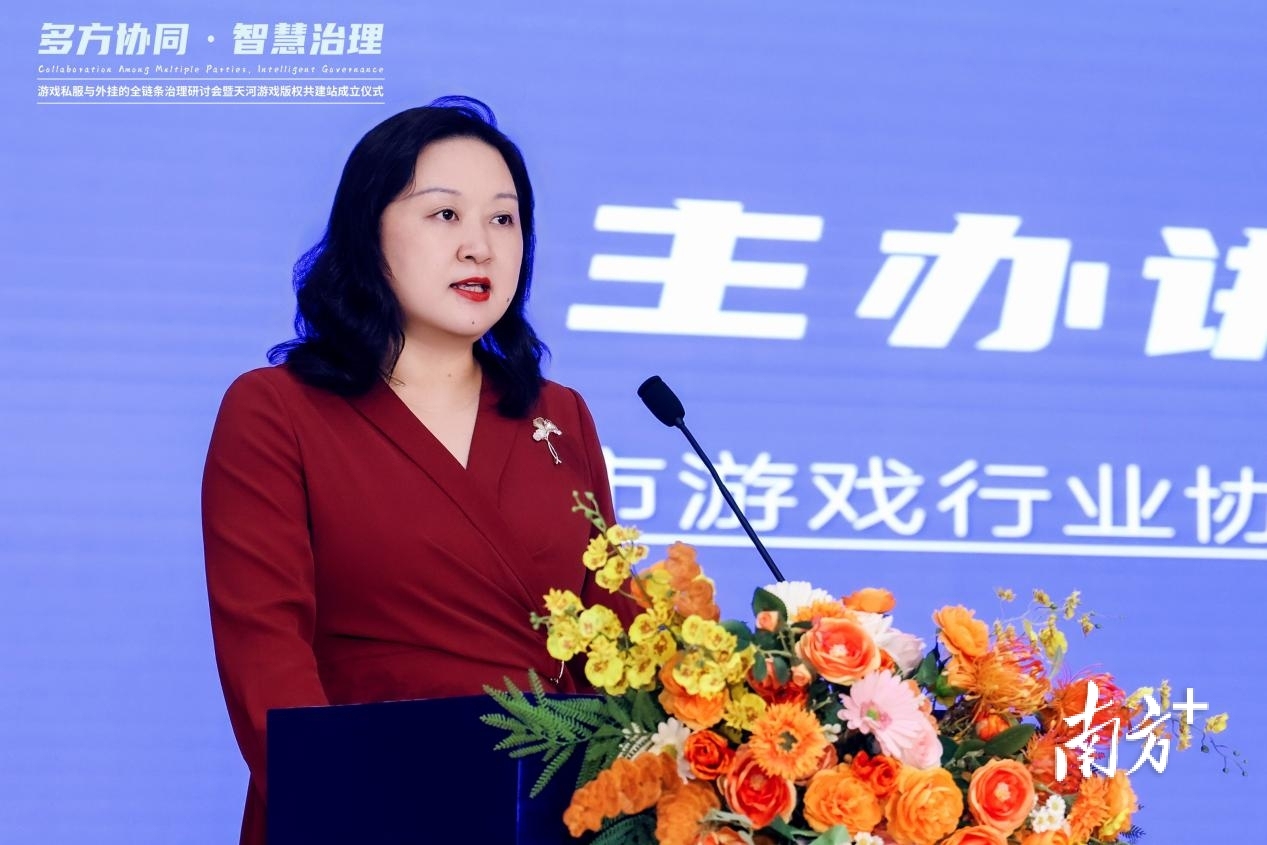 游戏私服与外挂全链条治理研讨会_天龙私服_天河游戏版权共建站成立